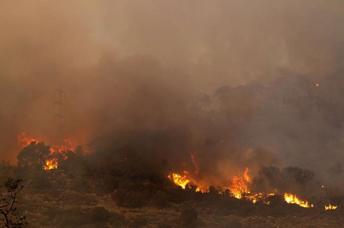 Kebakaran Hebat di Israel Tewaskan 40 Orang