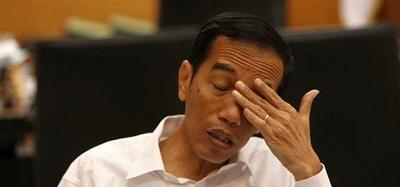 Jokowi Kecewa dengan Dirut PLN yang Ditetapkan Atas Persetujuannya
