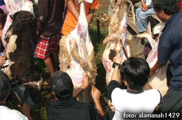 Remaja Juga Bisa Berkurban