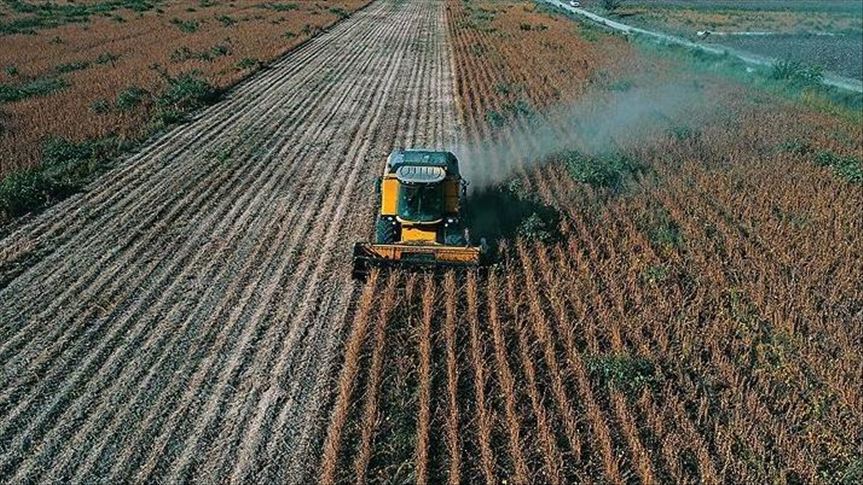 Dukungan Para Petani di AS Terhadap Trump Menurun