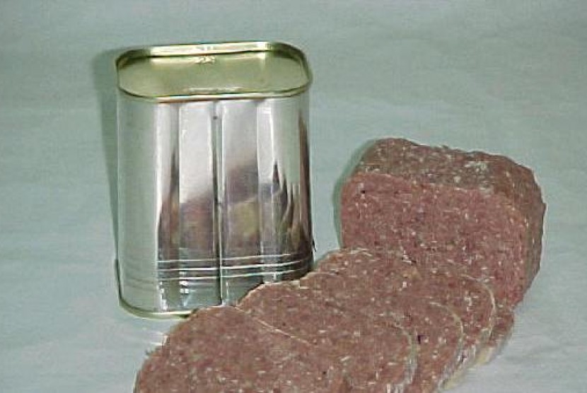 Марка солонина. Corned Beef тушенка. Консервированная Солонина. Консервированная Солонина rdr. Солонина армия.